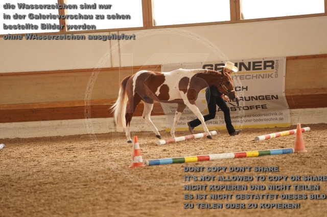 s_A_901070.JPG